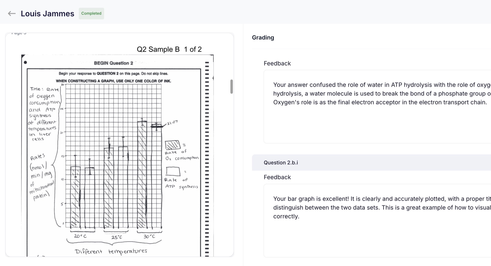 Teacher dashboard showing automated grading with question-level feedback